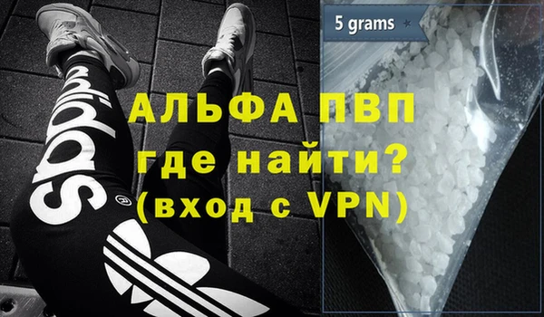 PSILOCYBIN Верея