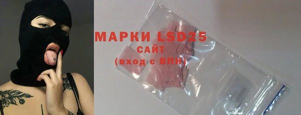 PSILOCYBIN Верея