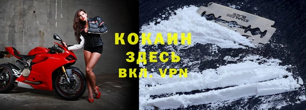 амф Пересвет