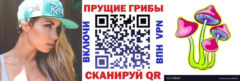 Галлюциногенные грибы Cubensis  купить  цена  ОМГ ОМГ онион  Орехово-Зуево 